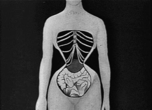 欧洲紧身胸衣样式,18世纪伦敦紧身胸衣