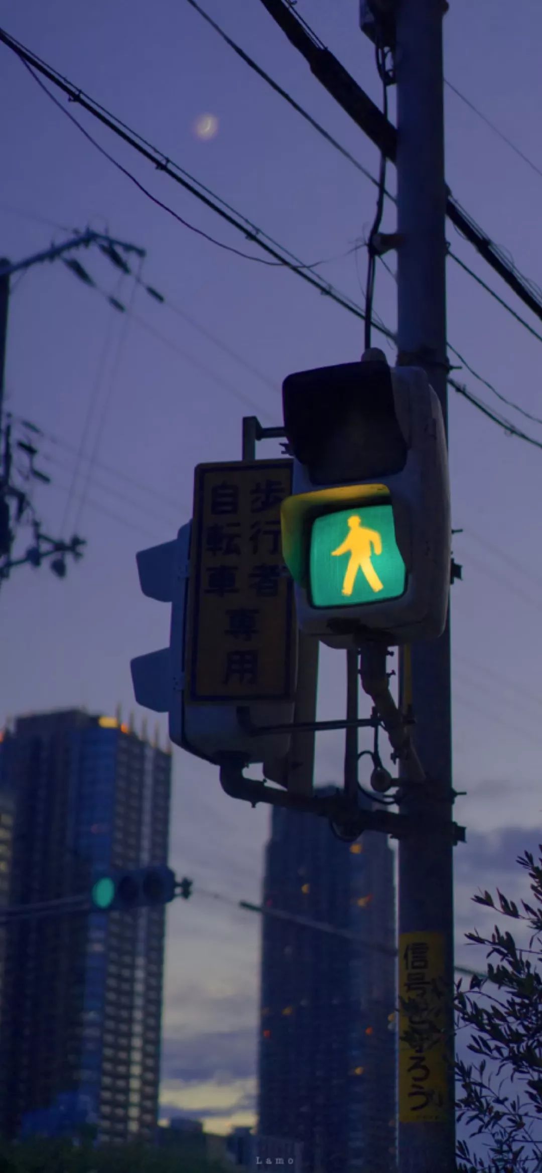 周杰伦图片高清壁纸,一组巨好看高清全面屏壁纸