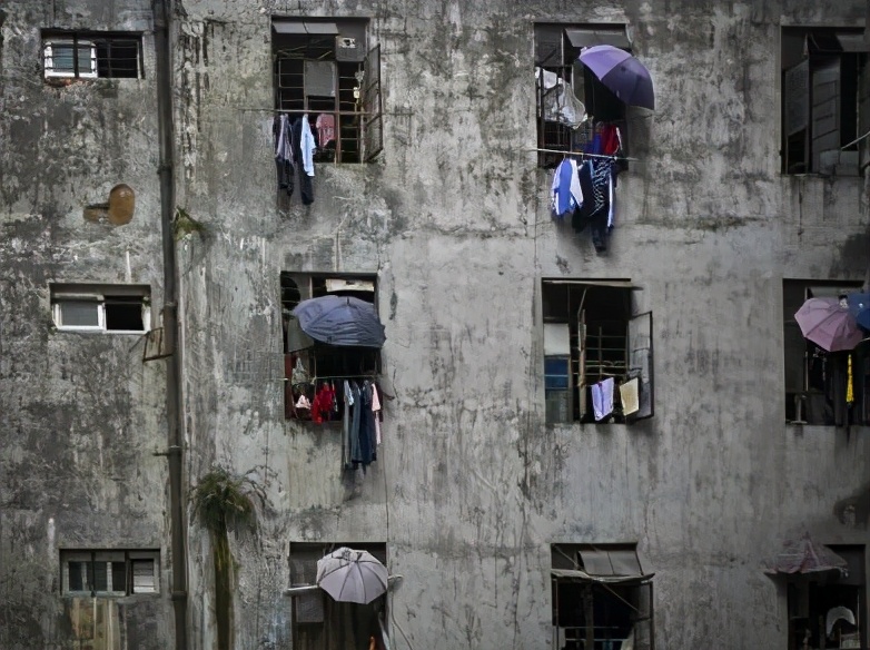 深圳合租爱情,深圳合租式恋爱