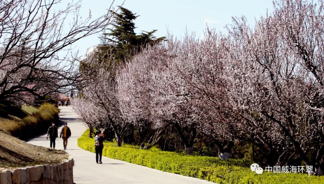 环翠景色,环翠美景