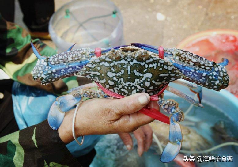最好吃的海鲜城市排名,沿海城市海鲜又便宜又好吃
