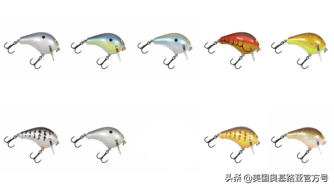 2021年春季渔具展会,2021昆明渔具展时间表