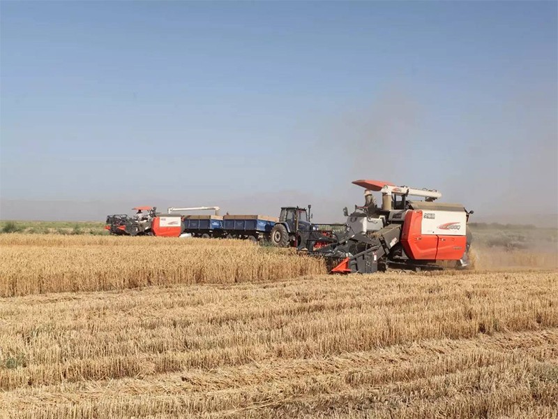 水稻收割机哪家最好用最实惠,水稻收割机买哪款