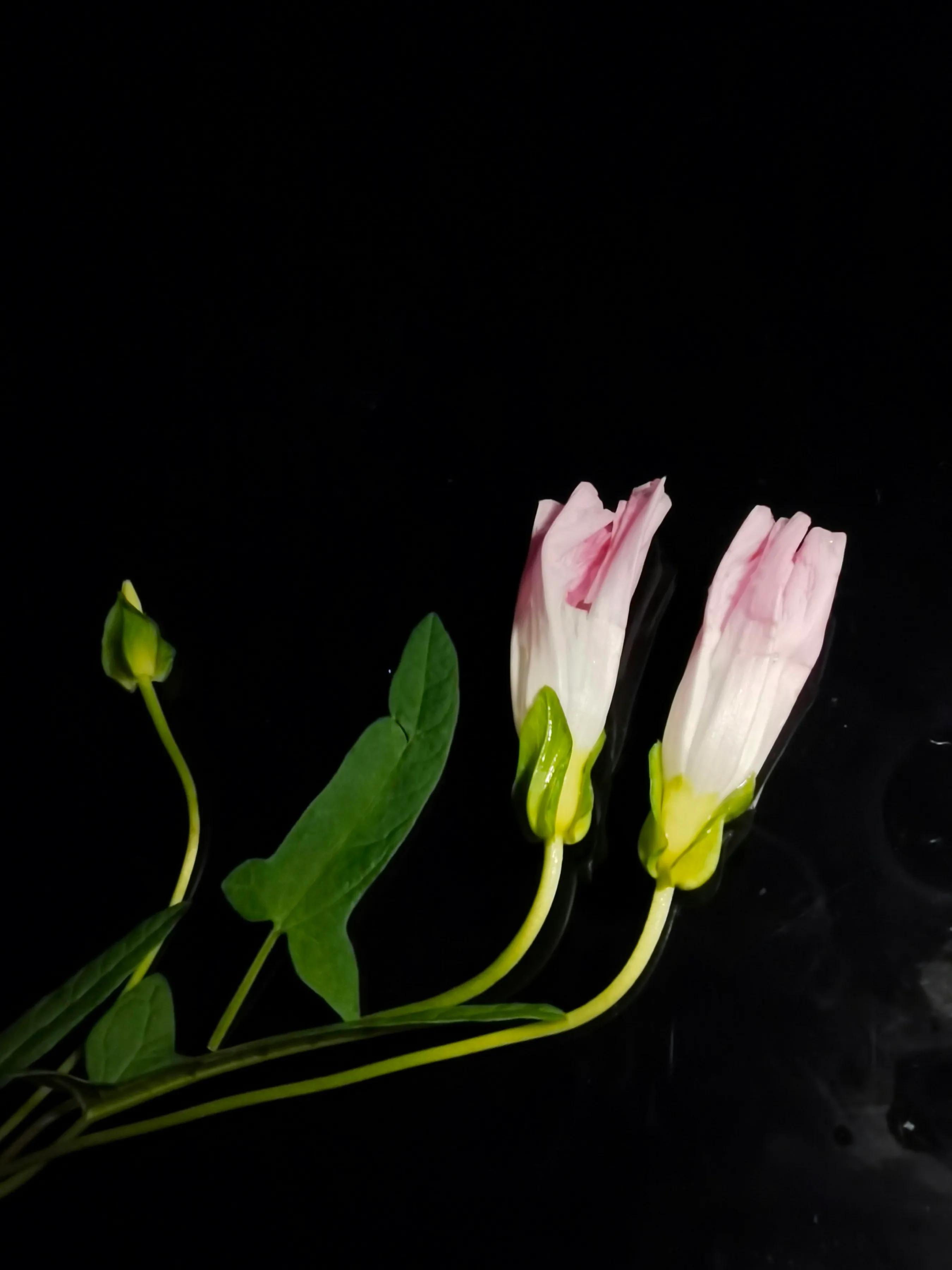 手拍世界手机摄影平台,手拍世界摄影交流平台