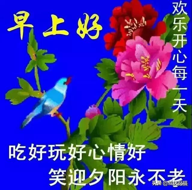 新的早上好祝福语动态图,早晨问候早上好暖心句子图片
