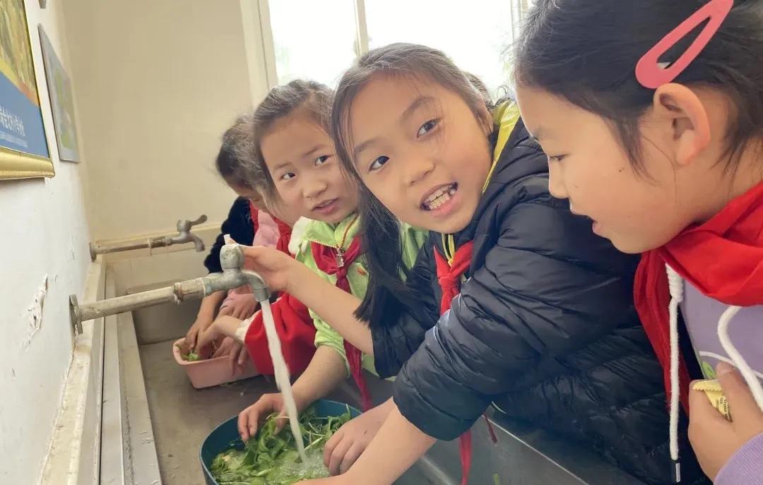 最美的风景美丽的校园,最美的风景就是校园