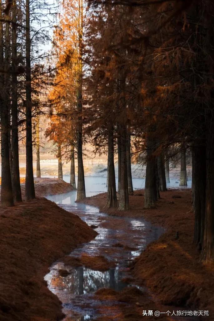 国庆带宝宝去玩的宝藏地方,贵阳国庆周边宝藏地