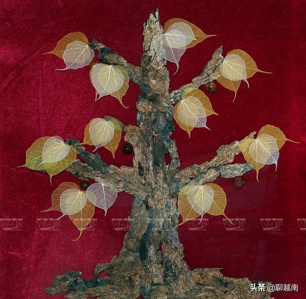 越南那些事,越南那些事完整版