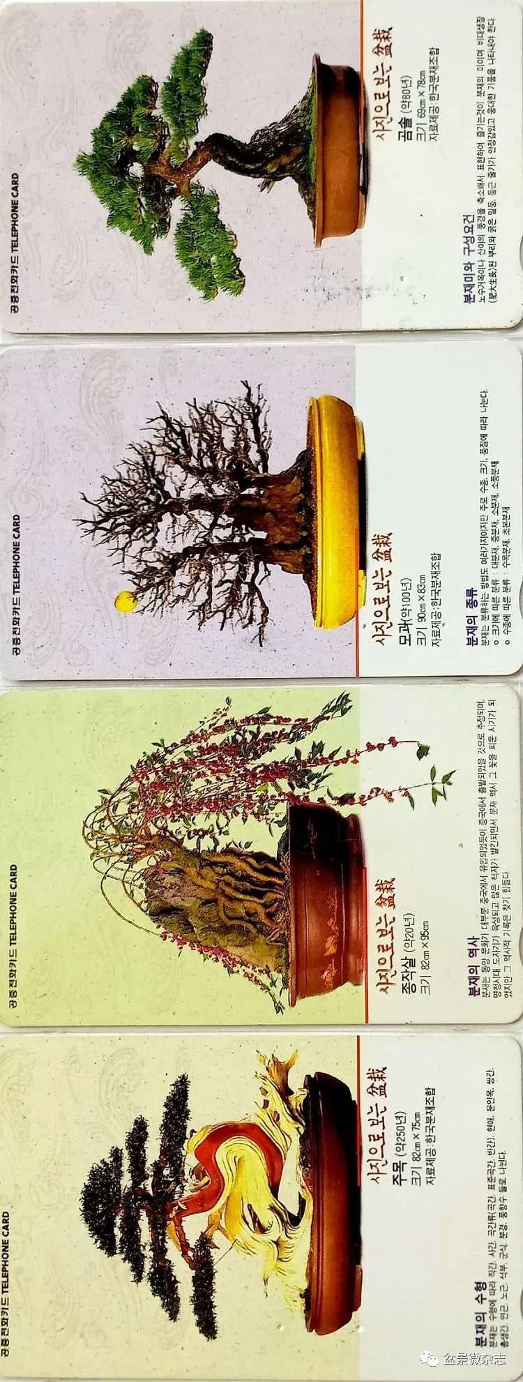 鐩嗘櫙鑱旂郴鐢佃瘽,鐩嗘櫙鑱旂郴鐢佃瘽鍙风爜