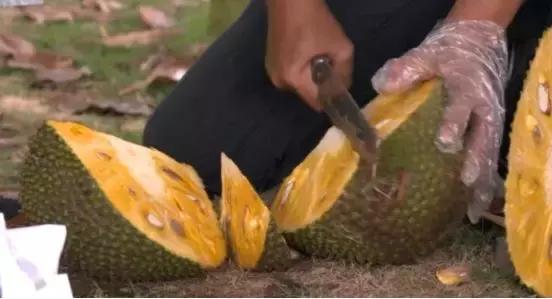 快递电商怎么做的,快递月入2万