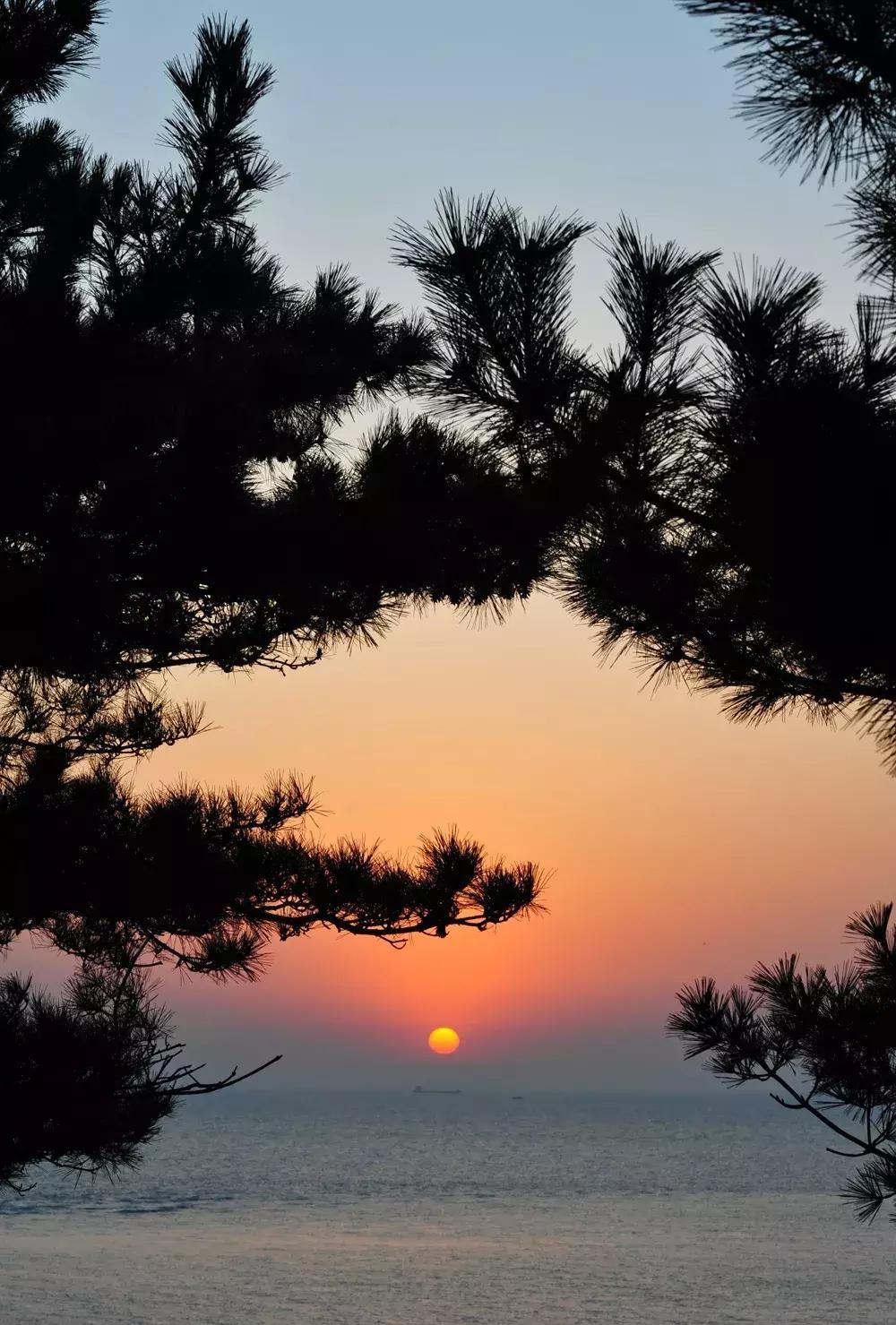 「游记」拒绝下海煮饺子,个人承包个海岸线,简直不要太爽