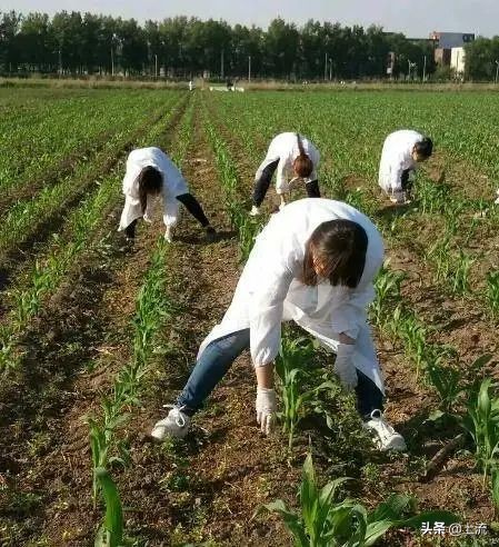 上大学学种地,上农业大学真的要种地吗