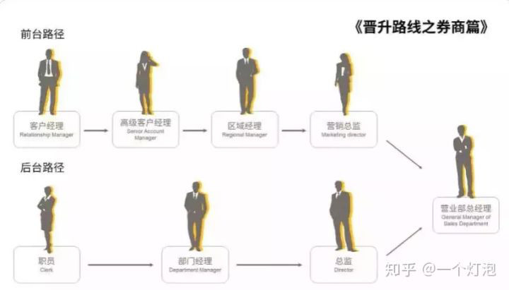 高考志愿填经济学有什么要求,高考填志愿有哪些好的专业