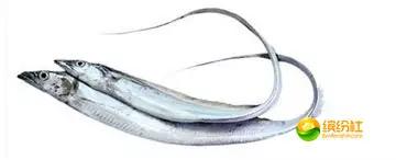 舟山海鲜代加工攻略,最全舟山海鲜攻略