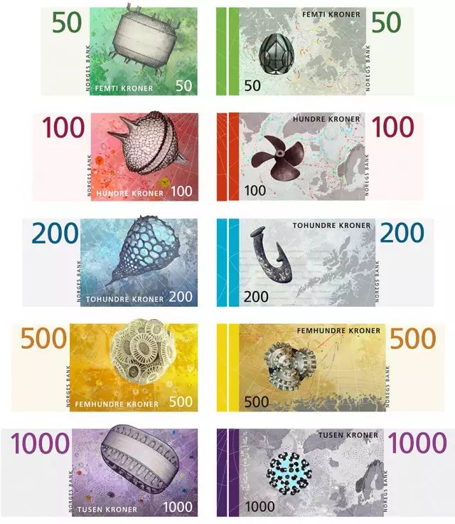 认错薛之谦算什么把鳕鱼当作咸鱼才叫IN!