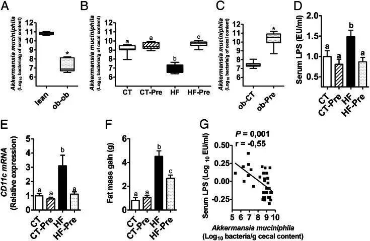 利用宿主分泌的粘蛋白“为食”的Akk菌