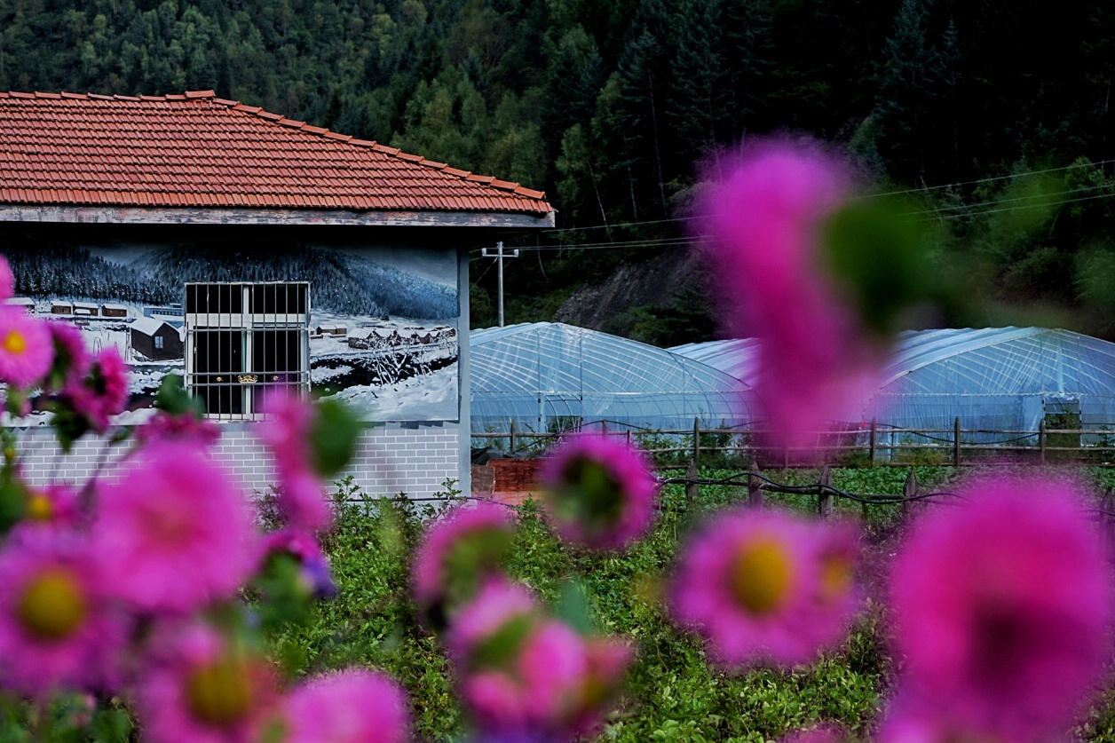 川西五日游马尔康,从成都到马尔康沿途风景