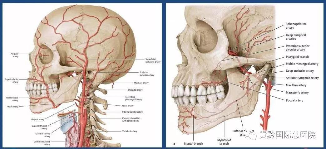 百名专家落户贵黔｜张学渊：医生就该好好治病救人