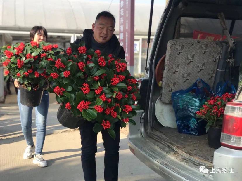 上海在农村当村官工资高吗,在上海当一名医生是什么体验