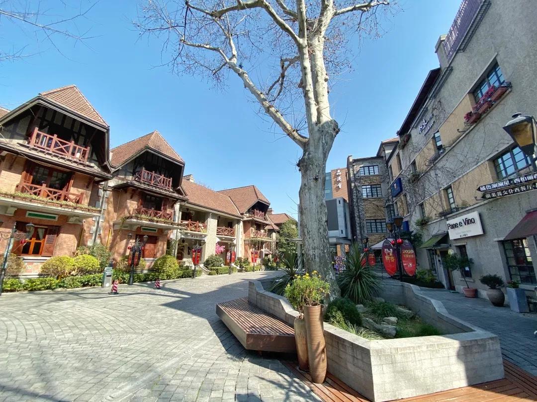 上海2月4日天气,上海2月10日天气