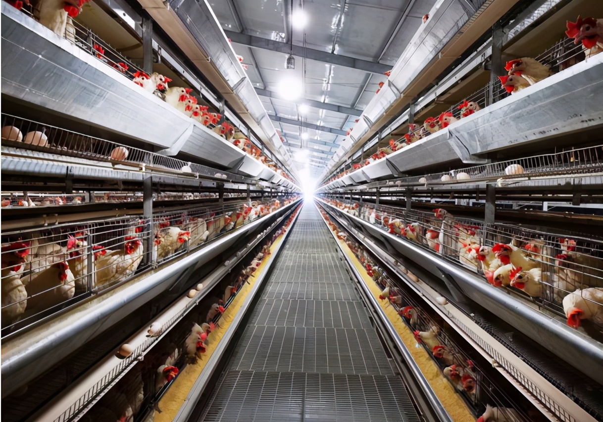 湖北双港农业科技贸易股份有限公司董事长李德胜