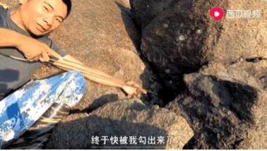 西瓜视频赶海活动,西瓜视频赶海