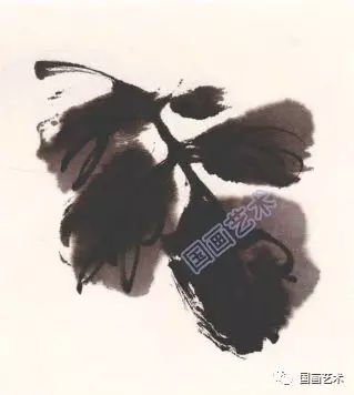 月季花的画法视频教程,一学就会中国画写意月季的画法