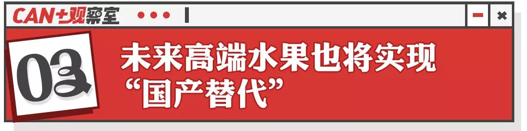 车厘子沦为“猪饲料”，谁能坐上“水果贵族”的铁王座