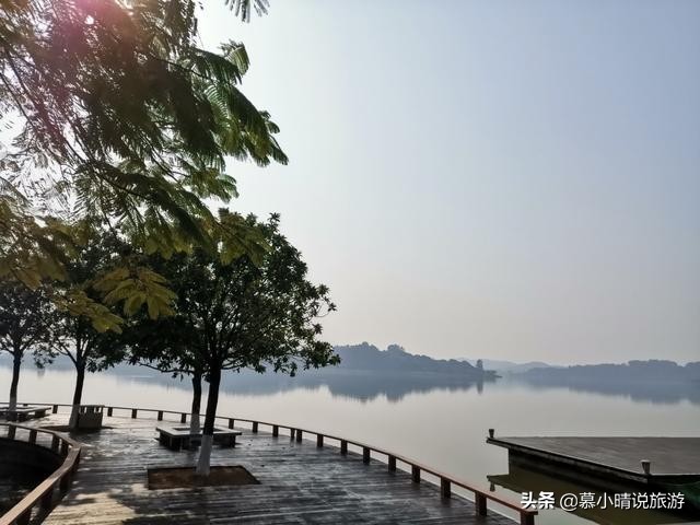 广州这个湖，有片内蒙古“怪树林”，景色如水墨画，让你亲近自然