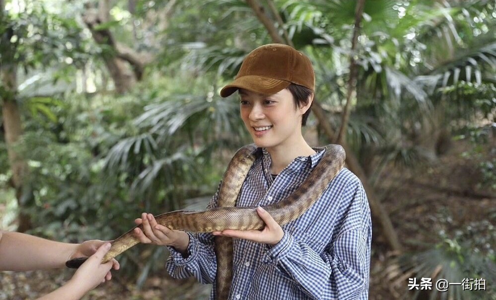 邓超孙俪同框照片,邓超孙俪近期合照