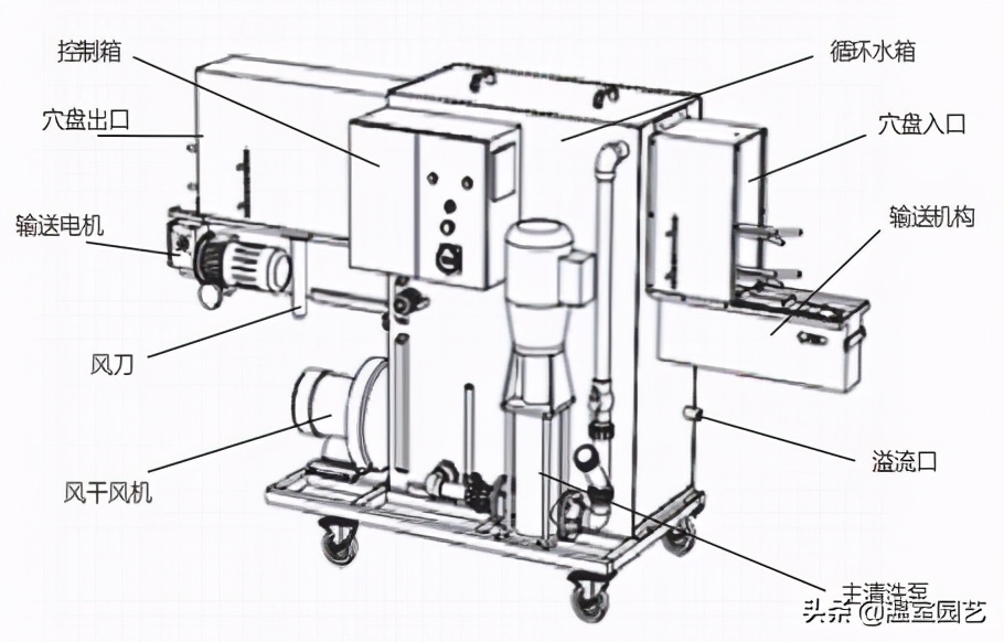 穴盘育苗烂根怎么解决,育苗穴盘处理
