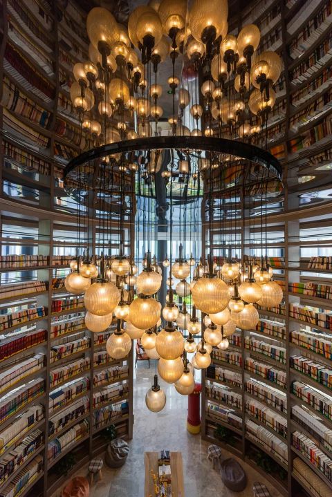 鍚櫤澧炴収鍥烘湰寮哄熀,鍚櫤澧炴収鎺ㄨ崘鐞嗙敱