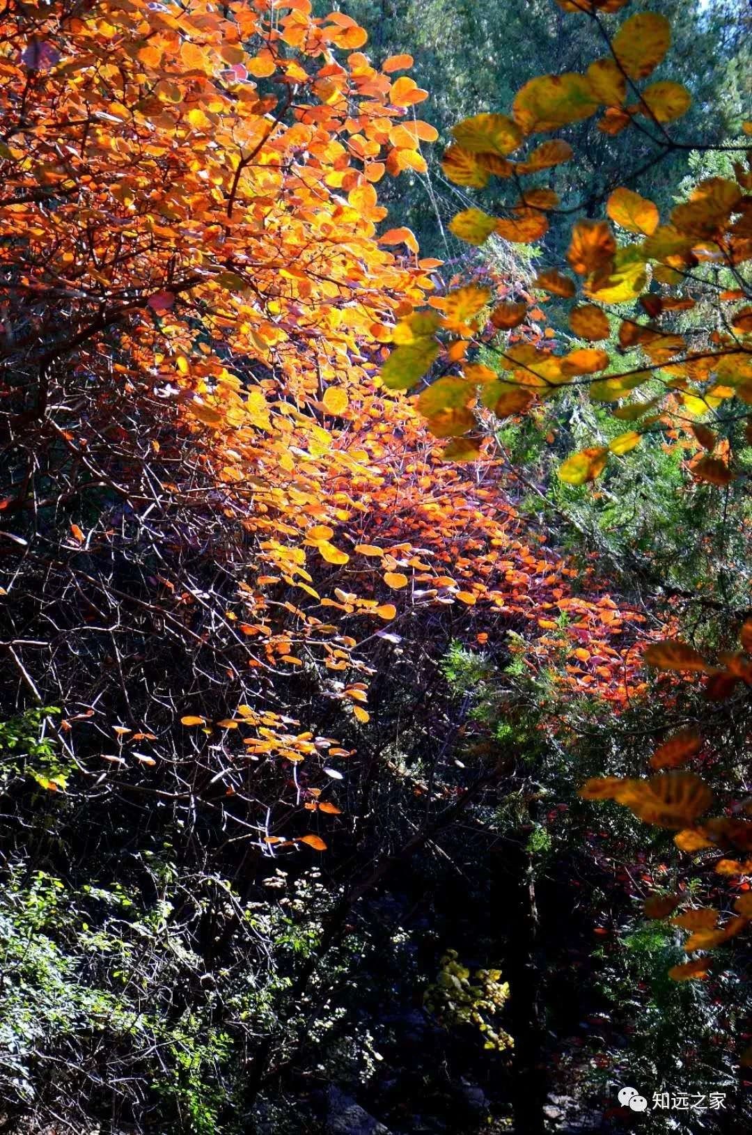 济南免费遛娃的地方,济南市十一带娃游玩好去处
