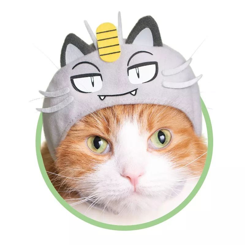 买彩票乐趣,买福利彩票乐趣