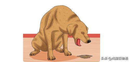 尽快！腺*工罢**！狗狗情况危急