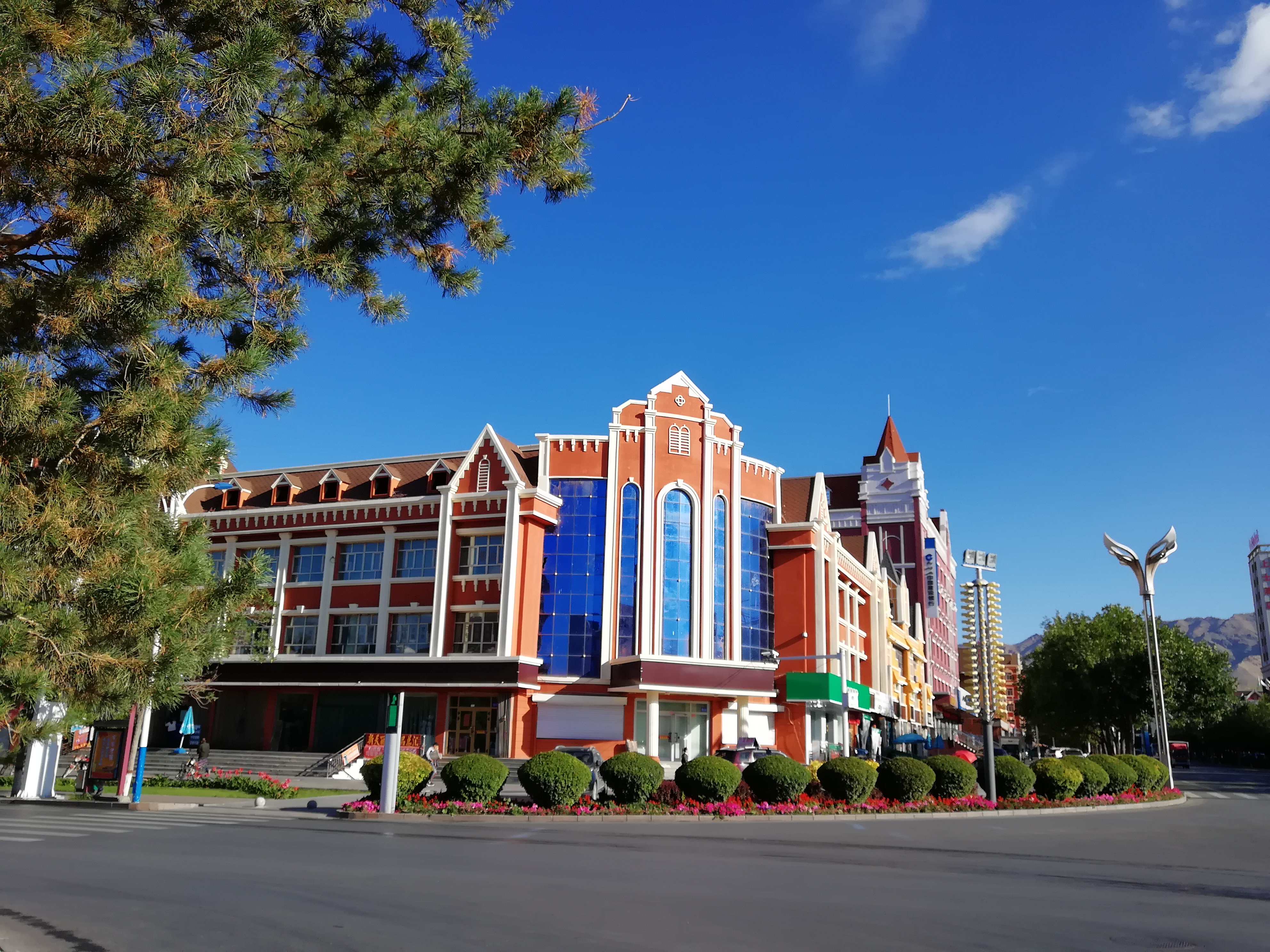 带狗自驾新疆注意事项,想带狗狗去新疆