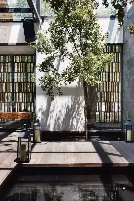 院子风景真美,中国人的院子