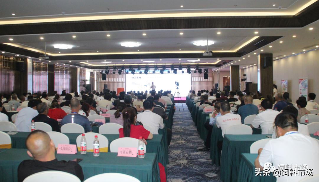 山东活力集团青岛,活力集团新品发布会