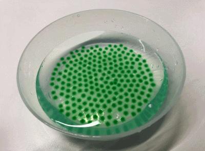 儿童最喜欢看的抖音玩具,儿童必备最近抖音网红玩具