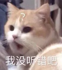 「欧莱雅」液体吸油纸，护肤界的戴森？