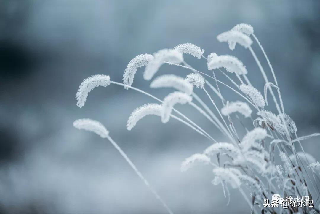 「徐水映像」换个角度看保定徐水,美