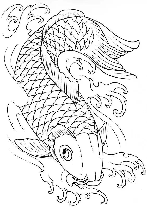 转运锦鲤简笔画,简笔画100种锦鲤图片