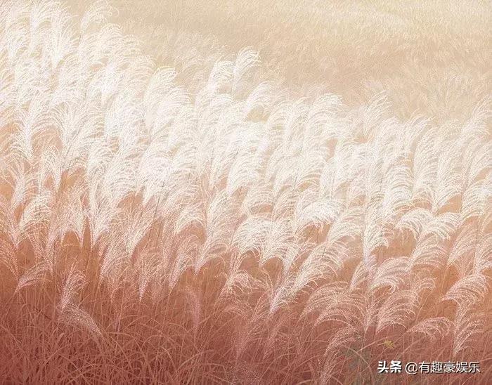 同学们报考的是外地的大学,那么在外省读大学都要注意些什么呢?