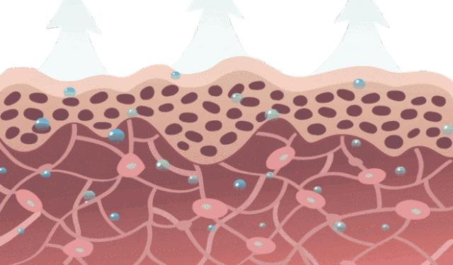 bbc沙棘面霜 (老爸评测bbc面霜)