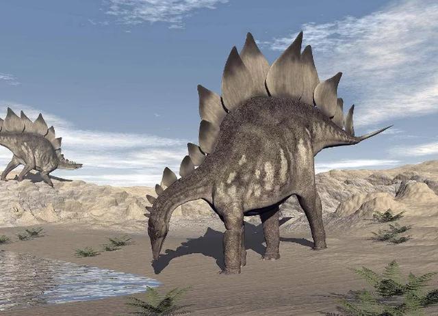 恐龙世界剑龙玩具,恐龙世界剑龙长什么样