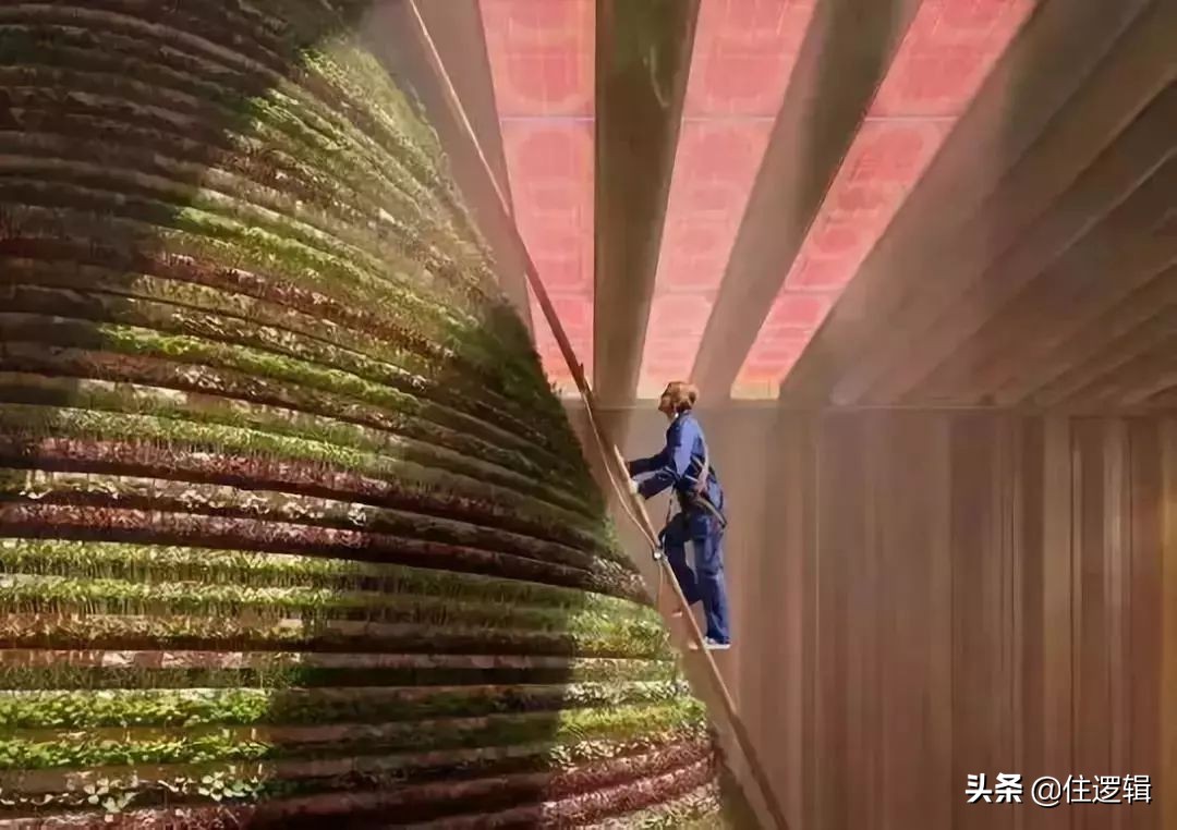 迪拜世博会中国馆建筑师,设计师吐槽大会