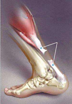 老司机篮球教学,老司机传授打篮球知识