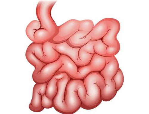 大肠息肉摘除后是否会再长?肠息肉切除后多长时间复查比较合适?