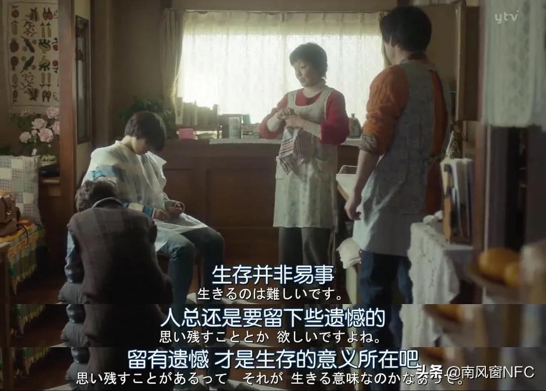 闲鱼故事大全完整版,最真实的北漂