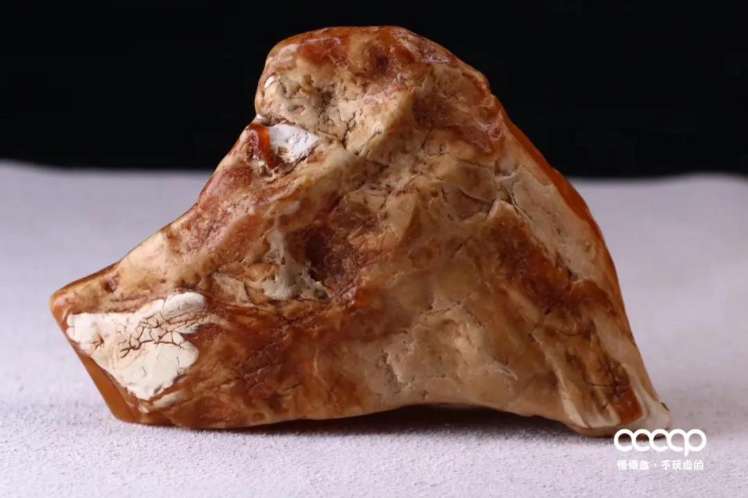 网上买的老蜡有真品吗,花了20万买了块假表